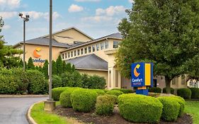 Comfort Inn & Suites Columbus In